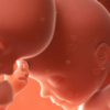 Baby foetus growth can be helped by taking vegan omega 3 supplements from nuIQue
