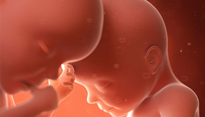 Baby foetus growth can be helped by taking vegan omega 3 supplements from nuIQue